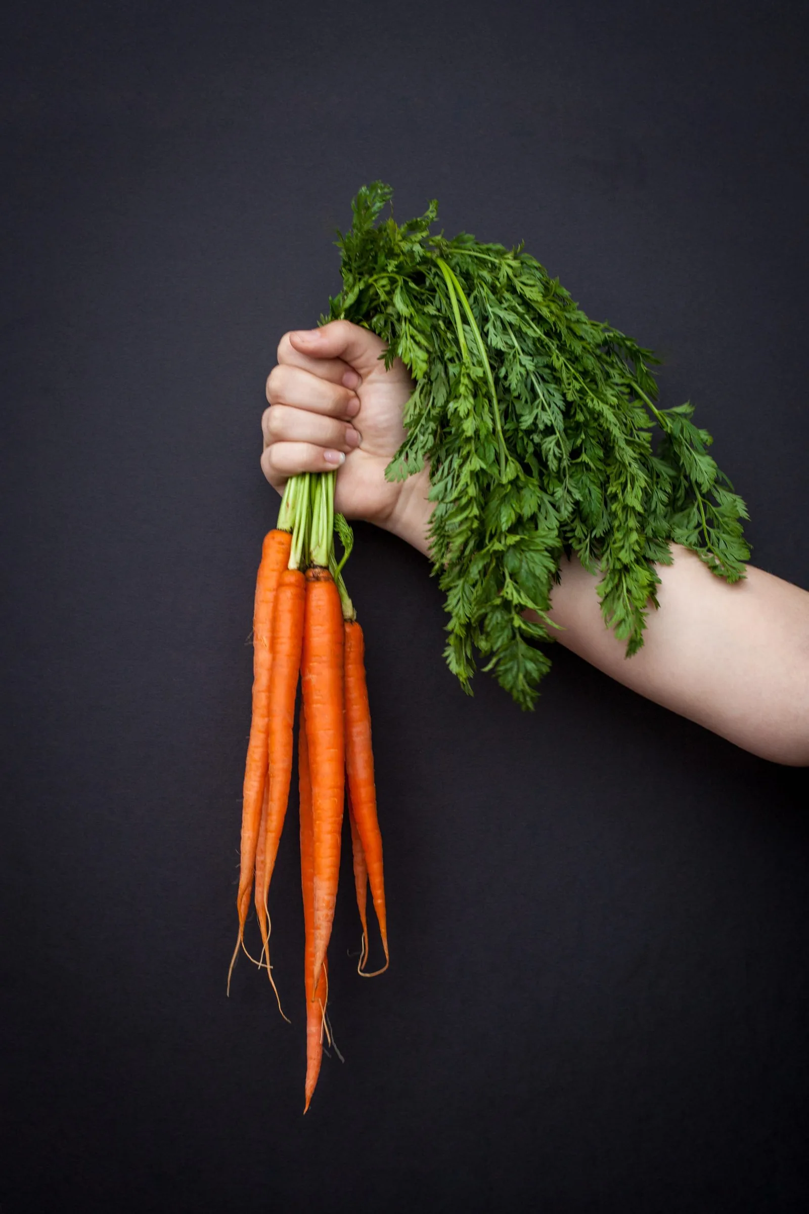 A bunch of fresh carrots with tops in a hand